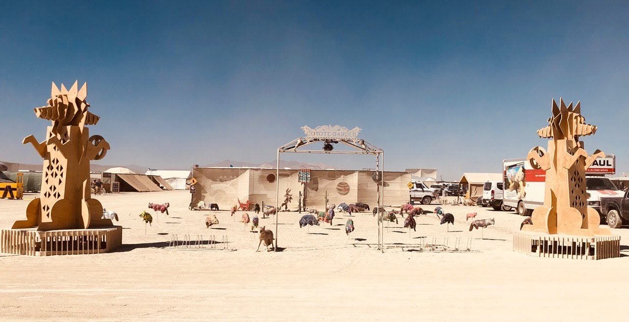 Coyote Garden at Burning Man 2019