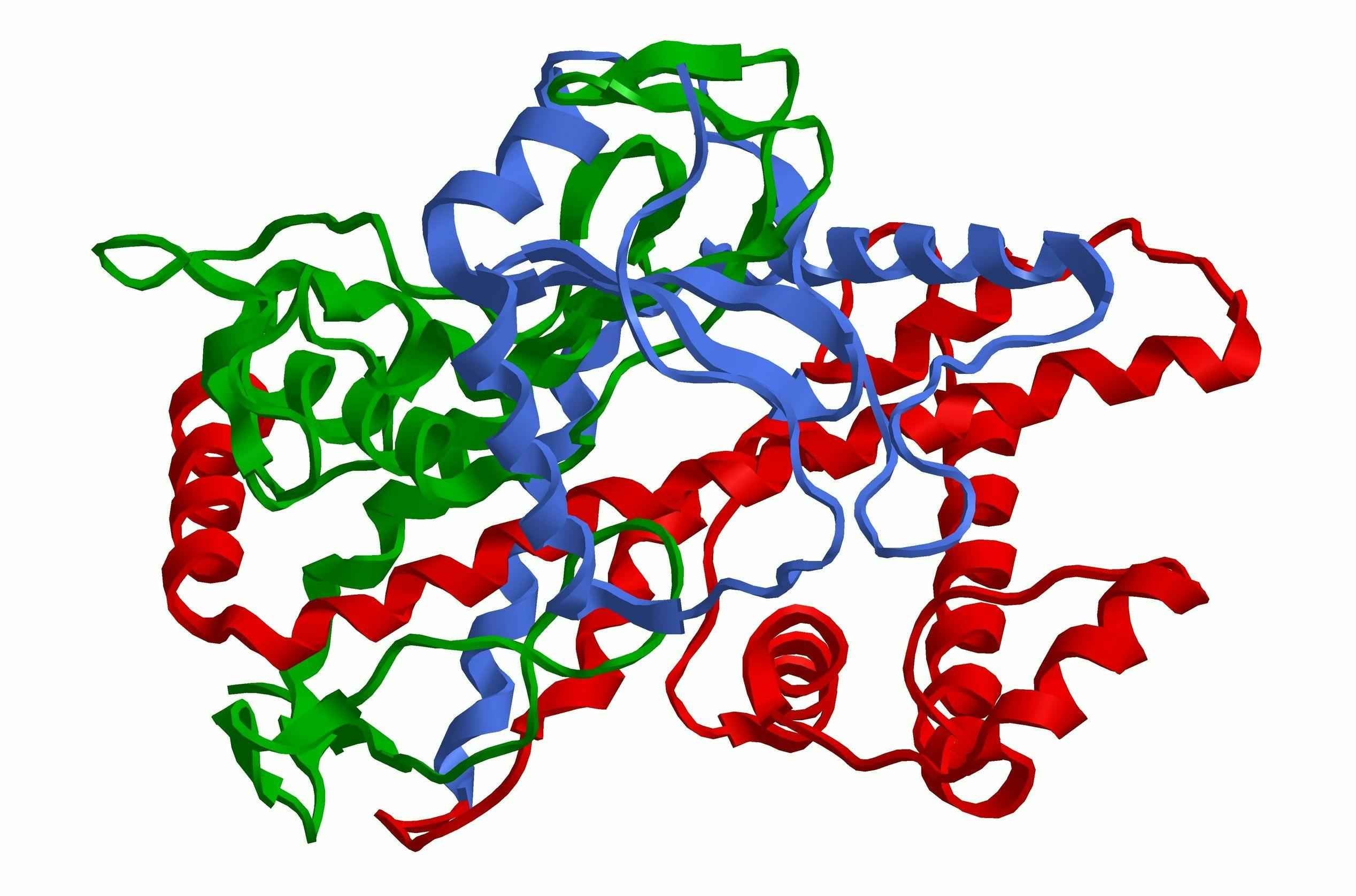 molecular structure for CYP450