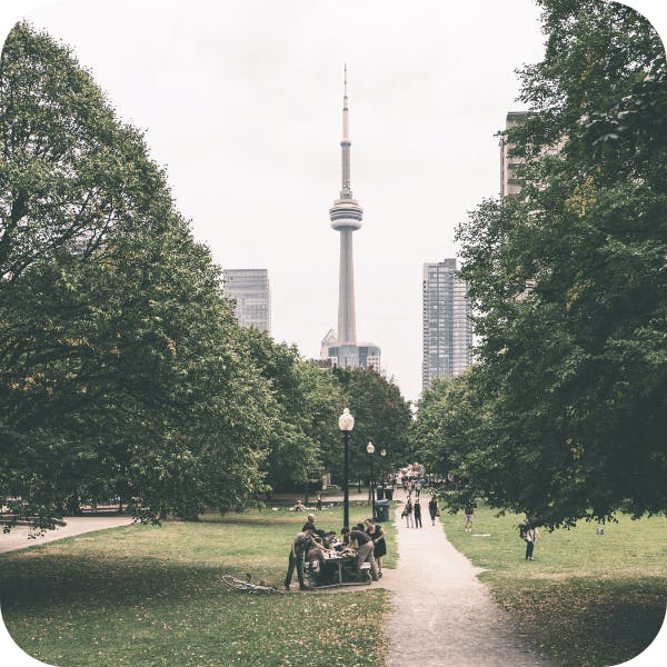 Toronto park in the summer, with green grass and trees. Path leads to the CN Tower.