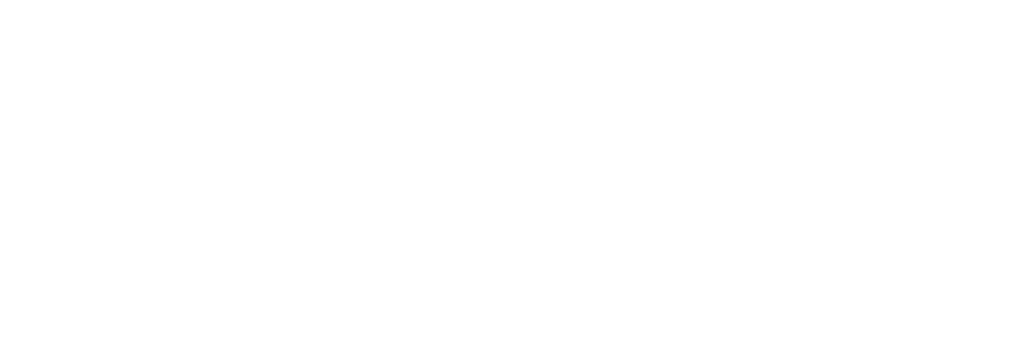SCNE Logo
