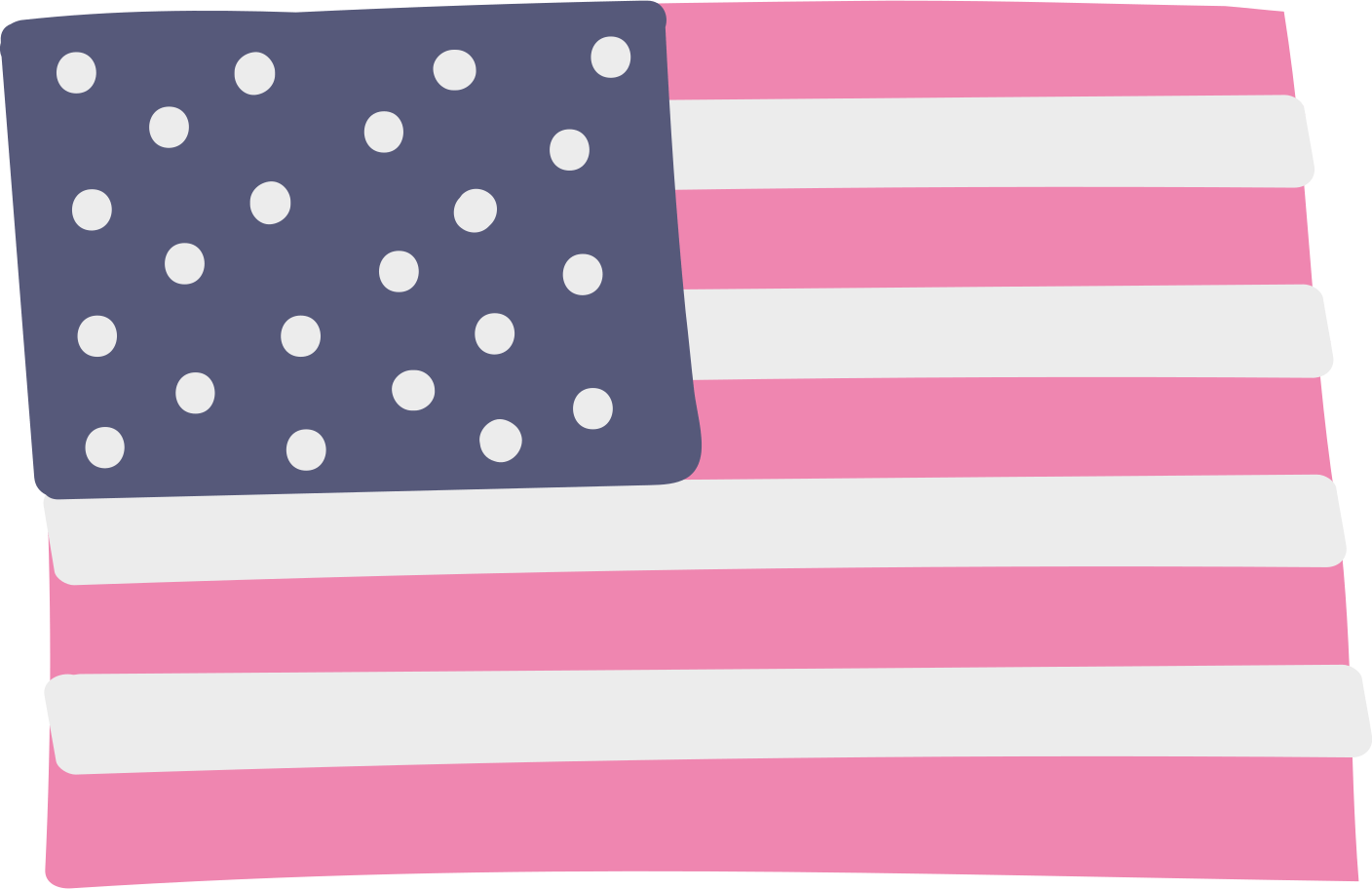 United States Flag illustration