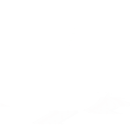 WellPaid Privacy Policy